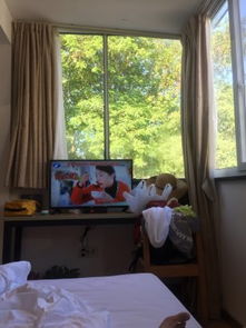 杭州隱泉居度假民宿 原晶晶的小窩精品客棧，一處寧靜的小屋